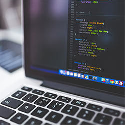 菠萝视频 冷门佳作 趋势观察