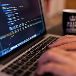 电鸽子字幕大小全流程