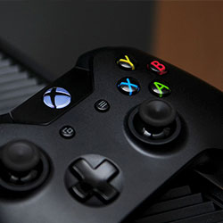 电鸽破解版文件管理指南