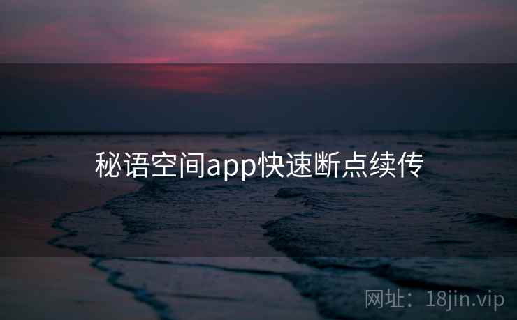秘语空间app快速断点续传