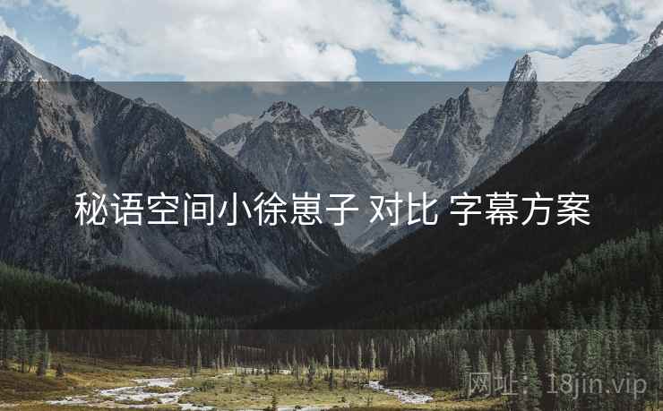 秘语空间小徐崽子 对比 字幕方案