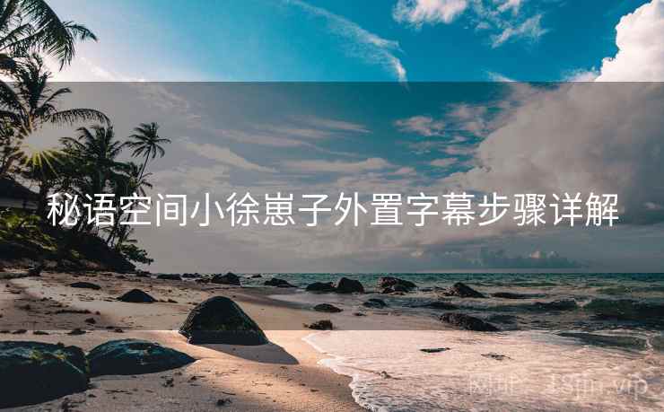 秘语空间小徐崽子外置字幕步骤详解