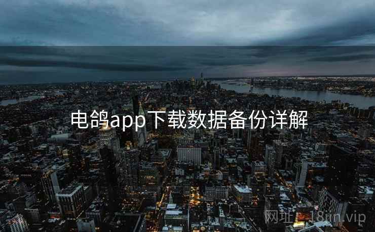 电鸽app下载数据备份详解