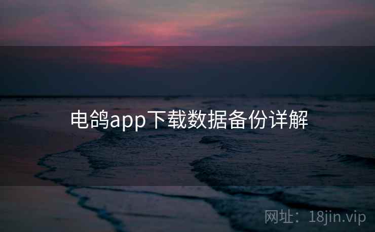 电鸽app下载数据备份详解