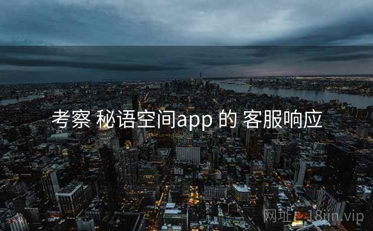 考察 秘语空间app 的 客服响应