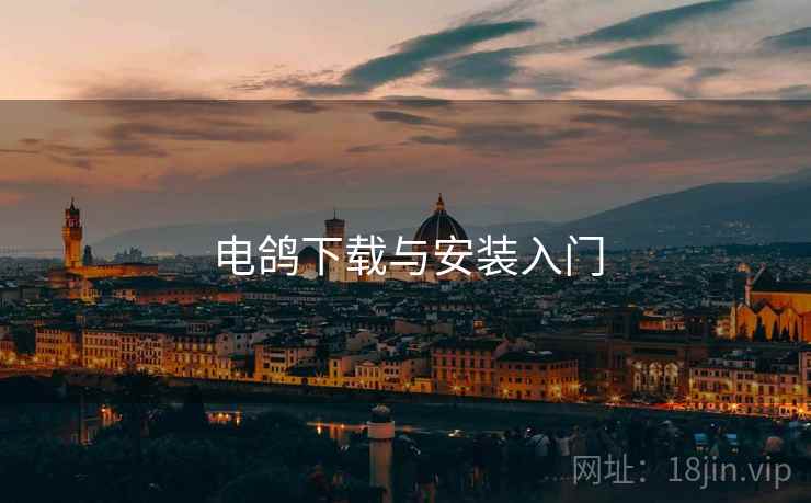 电鸽下载与安装入门