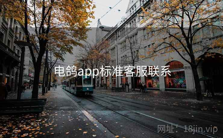 电鸽app标准客服联系