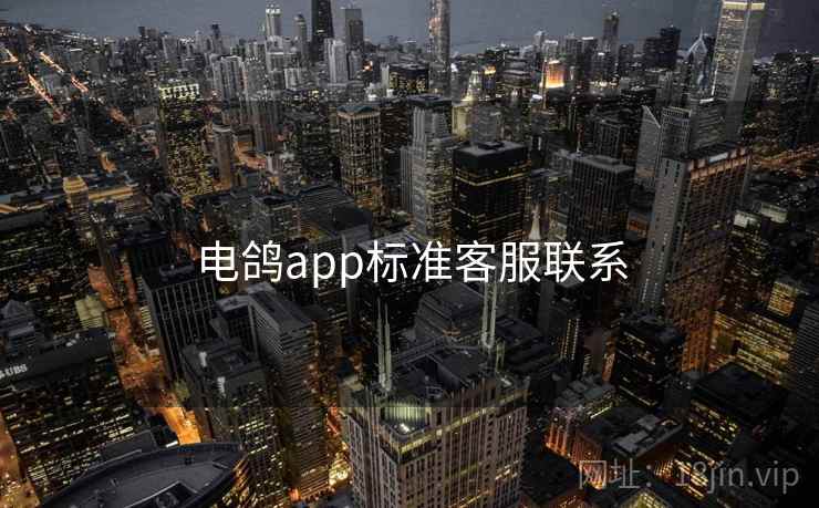 电鸽app标准客服联系
