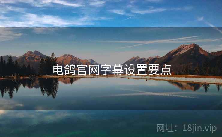 电鸽官网字幕设置要点